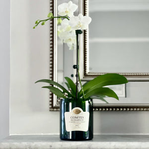 CC Upcycled Champagne Vase