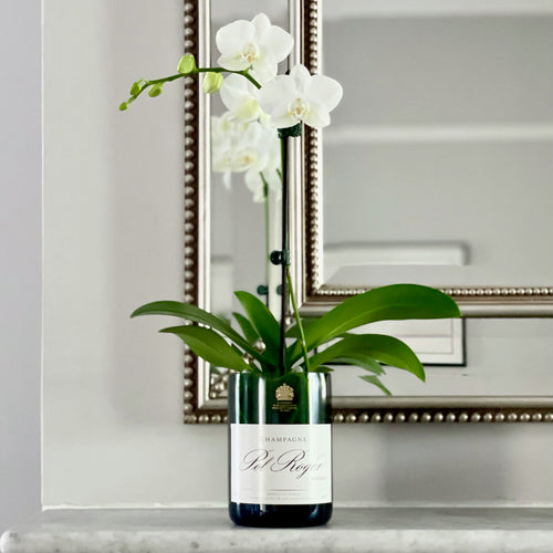 PR Upcycled Champagne Vase